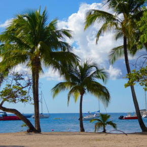 La Plage - Mer des Caraïbes à 30m